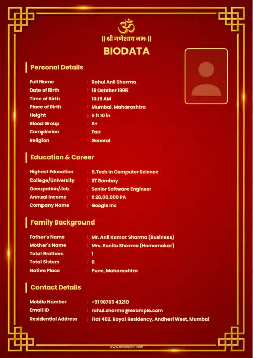Modern Gold Accent Modern marriage biodata format for working professional with minimal gold accent